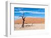 Sossusvlei, Namibia-Ivana Tacikova-Framed Photographic Print