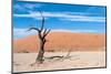 Sossusvlei, Namibia-Ivana Tacikova-Mounted Photographic Print