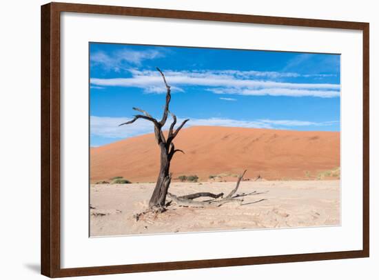 Sossusvlei, Namibia-Ivana Tacikova-Framed Photographic Print