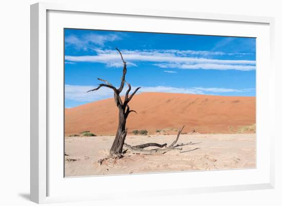 Sossusvlei, Namibia-Ivana Tacikova-Framed Photographic Print