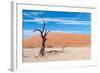 Sossusvlei, Namibia-Ivana Tacikova-Framed Photographic Print