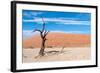 Sossusvlei, Namibia-Ivana Tacikova-Framed Photographic Print