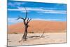 Sossusvlei, Namibia-Ivana Tacikova-Mounted Photographic Print