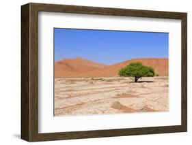 Sossusvlei Sand Dunes Landscape in the Nanib Desert near Sesriem-Carlos Neto-Framed Photographic Print