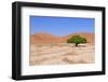 Sossusvlei Sand Dunes Landscape in the Nanib Desert near Sesriem-Carlos Neto-Framed Photographic Print
