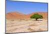 Sossusvlei Sand Dunes Landscape in the Nanib Desert near Sesriem-Carlos Neto-Mounted Photographic Print