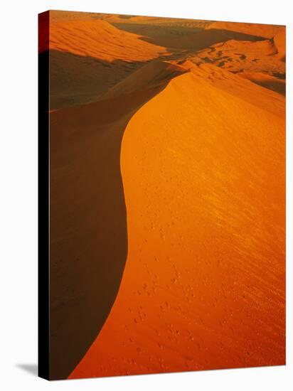 Sossusvlei Sand Dunes-Stuart Westmorland-Stretched Canvas