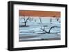 Sossusvlei-Ivana Tacikova-Framed Photographic Print