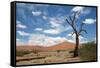 Sossuvlei.Namibia-benshots-Framed Stretched Canvas