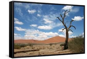 Sossuvlei.Namibia-benshots-Framed Stretched Canvas