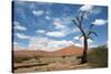 Sossuvlei.Namibia-benshots-Stretched Canvas