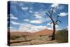 Sossuvlei.Namibia-benshots-Stretched Canvas