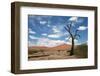 Sossuvlei.Namibia-benshots-Framed Photographic Print