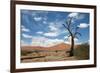 Sossuvlei.Namibia-benshots-Framed Photographic Print