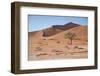 Sossuvlei-Wagner Christian-Framed Photographic Print