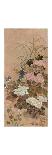 'Summer Flowers', c1615-Sôtatsu-Framed Stretched Canvas