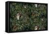Sothern Bop Forest Green-Bill Jackson-Framed Stretched Canvas