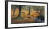 Sottobosco-Adriano Galasso-Framed Art Print