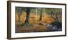 Sottobosco-Adriano Galasso-Framed Art Print