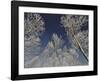 Sottozero-Fulvio Ferrua-Framed Art Print