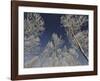 Sottozero-Fulvio Ferrua-Framed Art Print