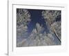 Sottozero-Fulvio Ferrua-Framed Art Print