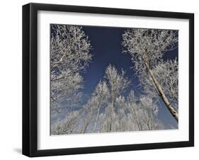 Sottozero-Fulvio Ferrua-Framed Art Print