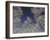 Sottozero-Fulvio Ferrua-Framed Art Print