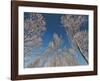 Sottozero-Fulvio Ferrua-Framed Giclee Print