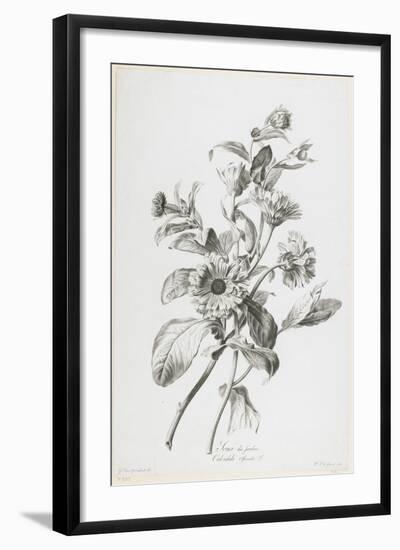 Souci Des Jardins, from Fleurs Dessinees D'Apres Nature, C. 1800-Gerard Van Spaendonck-Framed Giclee Print