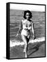 Soudain l'ete dernier SUDDENLY, LAST SUMMER, 1959 by JOSEPH L. MANKIEWICZ with Elizabeth Taylor (b/-null-Framed Stretched Canvas