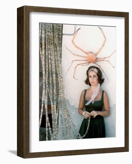 Soudain l'ete dernier SUDDENLY, LAST SUMMER, 1959 by JOSEPH L. MANKIEWICZ with Elizabeth Taylor (ph-null-Framed Photo