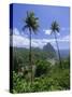 Soufriere and the Pitons, St. Lucia, Windward Islands, West Indies, Caribbean, Central America-Gavin Hellier-Stretched Canvas