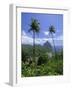 Soufriere and the Pitons, St. Lucia, Windward Islands, West Indies, Caribbean, Central America-Gavin Hellier-Framed Photographic Print