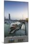 Souk Shark Shopping Center and Marina, Kuwait City, Kuwait, Middle East-Jane Sweeney-Mounted Photographic Print