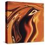 Soul Bird 4-Rabi Khan-Stretched Canvas