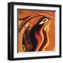 Soul Bird 4-Rabi Khan-Framed Art Print