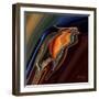 Soul Bird 9-Rabi Khan-Framed Art Print