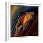 Soul Bird 9-Rabi Khan-Framed Art Print