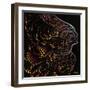 Soul Foundry-Jeff Sullivan-Framed Giclee Print