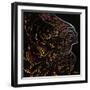 Soul Foundry-Jeff Sullivan-Framed Giclee Print