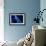 Soul in blue-Heidi Westum-Framed Photographic Print displayed on a wall