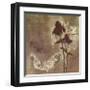 Soul Remedy II-Gina Miller-Framed Giclee Print