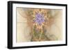 Soulflowwers 10939-Rica Belna-Framed Giclee Print