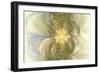 Soulflowwers 10940-Rica Belna-Framed Giclee Print