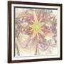 Soulflowwers 10944-Rica Belna-Framed Giclee Print