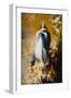 Soult Immaculate Conception-Bartolome Esteban Murillo-Framed Giclee Print