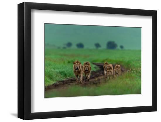 Premium Photographic Print, , large