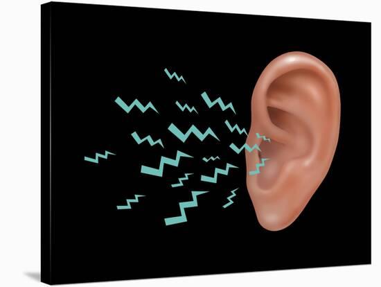 Sound Entering Human Outer Ear, Illustration-Gwen Shockey-Stretched Canvas