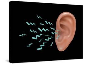 Sound Entering Human Outer Ear, Illustration-Gwen Shockey-Stretched Canvas